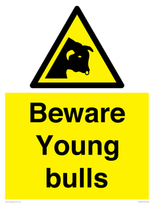 Beware Young bulls